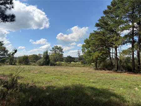 Bedias, TX 77831 Grimes County
