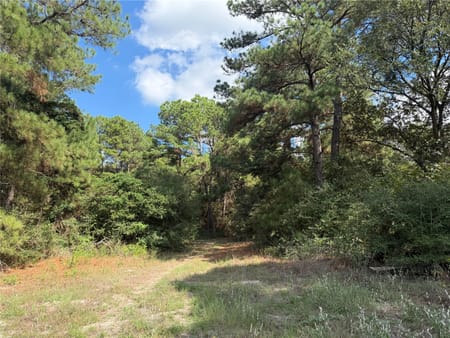 Bedias, TX 77831 Grimes County