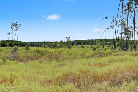 Huntsville, TX 77340 Walker County
