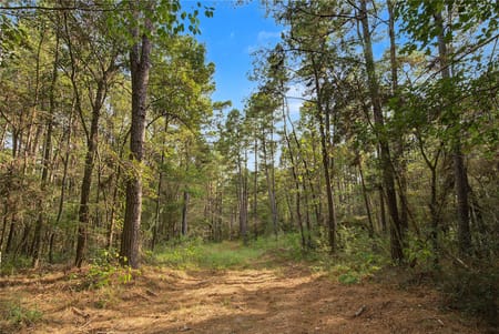 Huntsville, TX 77340 Walker County