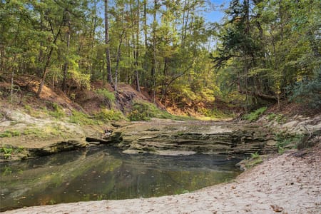 Huntsville, TX 77320 Walker County