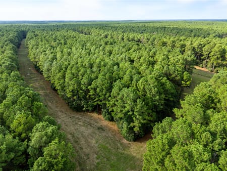 Huntsville, TX 77320 Walker County