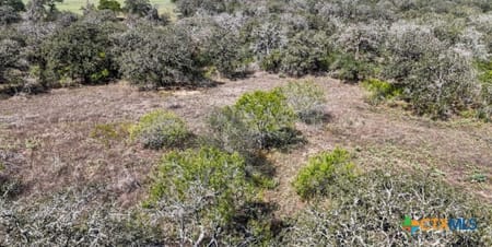 Seguin, TX 78155 Guadalupe County