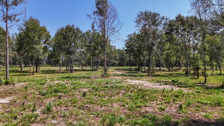 Devers, TX 77538 Liberty County