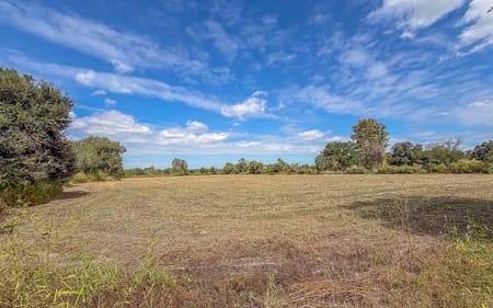 Alvin, TX 77511 Galveston County