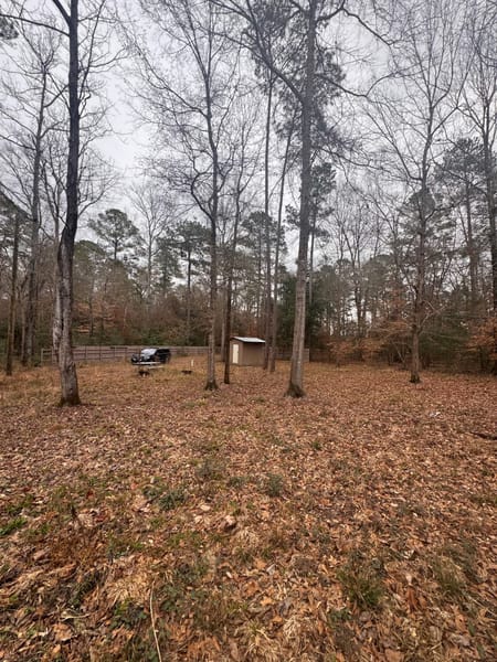 Chester, TX 75936 Tyler County