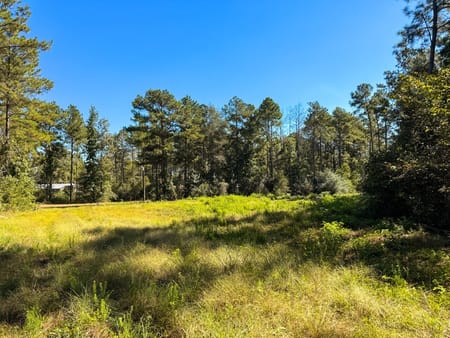 Spurger, TX 77660 Tyler County
