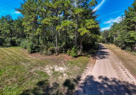 Spurger, TX 77660 Tyler County
