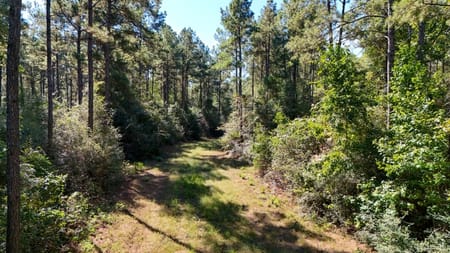 Spurger, TX 77660 Tyler County