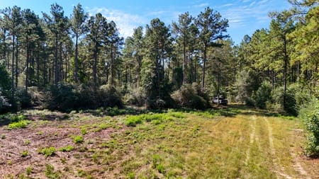Spurger, TX 77660 Tyler County