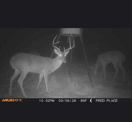 St Jo, TX 76265 Montague County