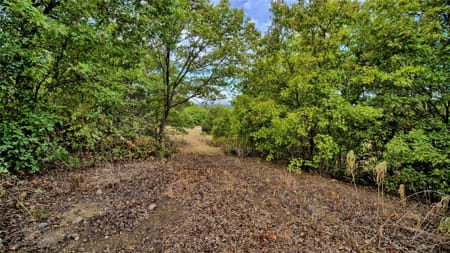 St Jo, TX 76265 Montague County