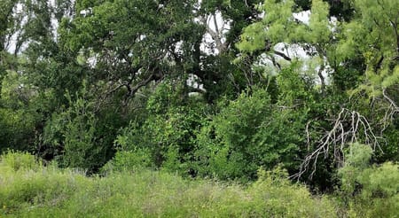 San Saba, TX 76877 San Saba County