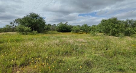 San Saba, TX 76877 San Saba County