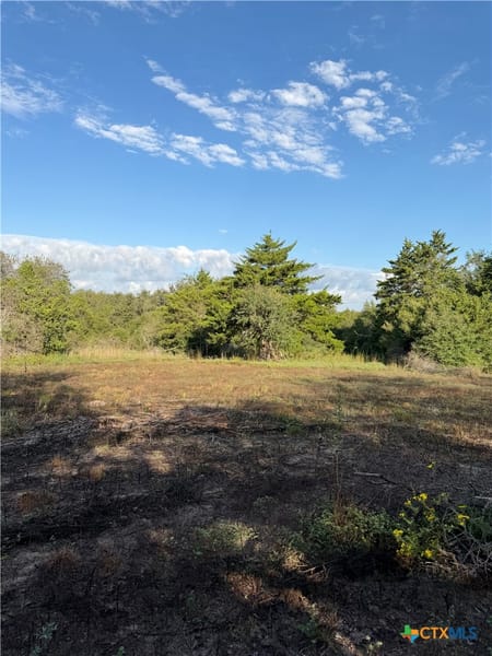 Moulton, TX 77975 Gonzales County