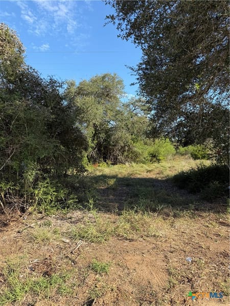 Moulton, TX 77975 Gonzales County