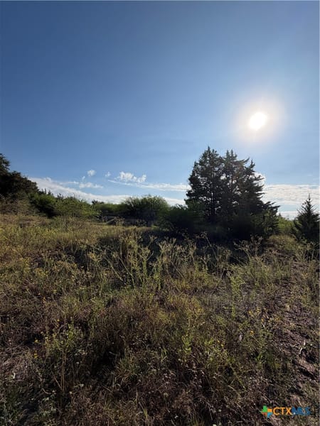 Moulton, TX 77975 Gonzales County