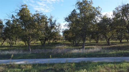 De Leon, TX 76444 Comanche County