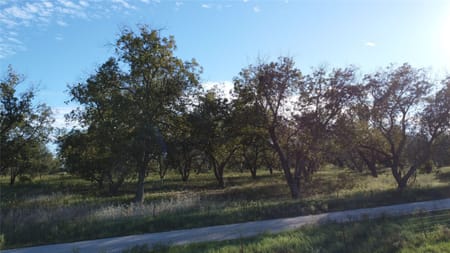 De Leon, TX 76444 Comanche County