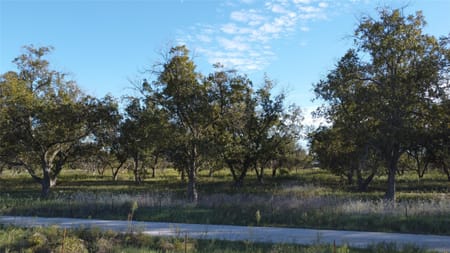 De Leon, TX 76444 Comanche County
