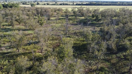 De Leon, TX 76444 Comanche County