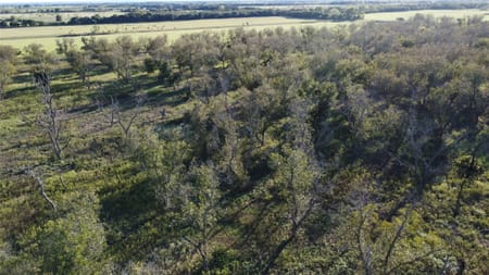 De Leon, TX 76444 Comanche County