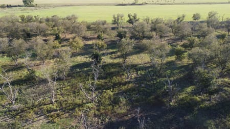 De Leon, TX 76444 Comanche County