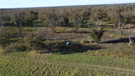 De Leon, TX 76444 Comanche County