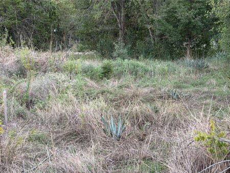 Clifton, TX 76634 Bosque County