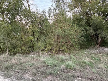 Clifton, TX 76634 Bosque County
