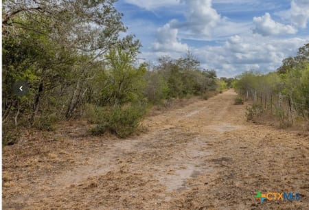 Goliad, TX 77963 Goliad County