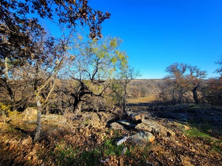 Henrietta, TX 76365 Clay County