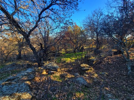 Henrietta, TX 76365 Clay County