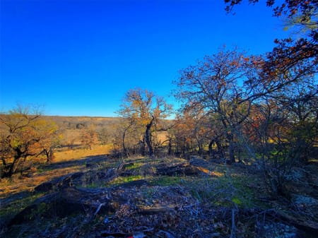 Henrietta, TX 76365 Clay County