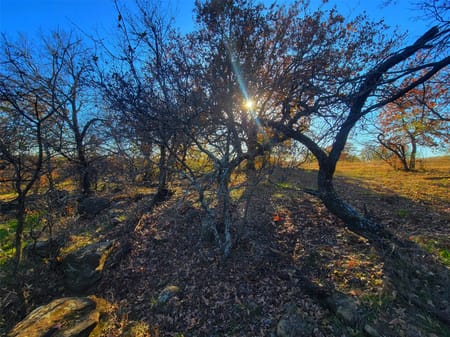 Henrietta, TX 76365 Clay County