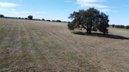 Dublin, TX 76446 Comanche County