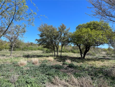 Hamilton, TX 76531 Hamilton County