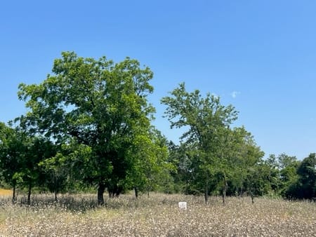 Hamilton, TX 76531 Hamilton County