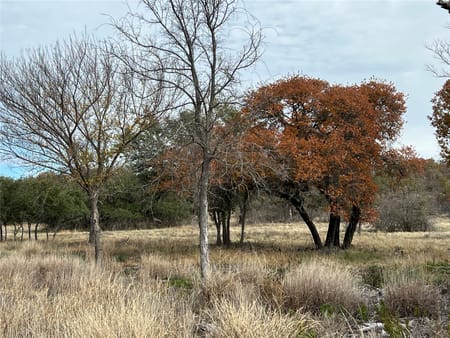Hamilton, TX 76531 Hamilton County