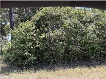 Manvel, TX 77578 Brazoria County