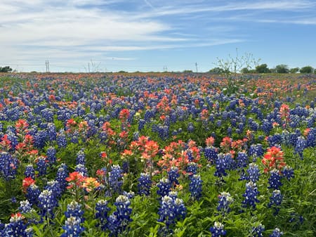Ennis, TX 75119 Ellis County