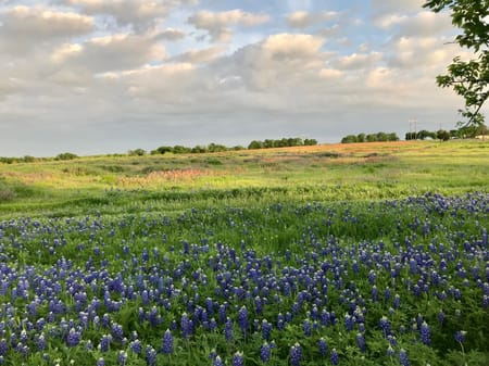 Ennis, TX 75119 Ellis County