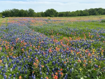 Ennis, TX 75119 Ellis County