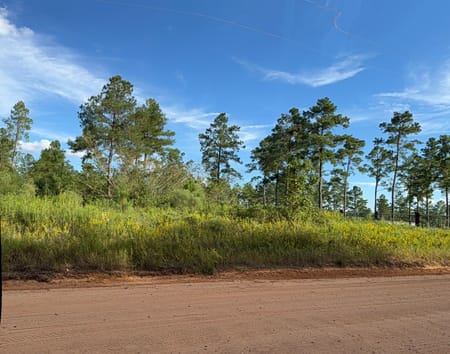 Livingston, TX 77351 Polk County