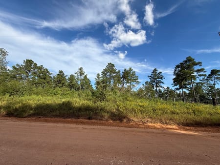 Livingston, TX 77351 Polk County