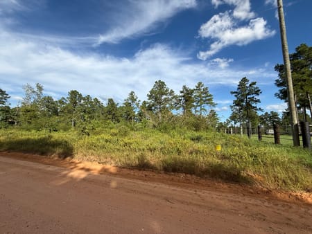 Livingston, TX 77351 Polk County