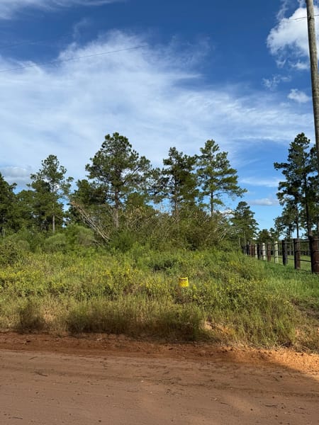 Livingston, TX 77351 Polk County