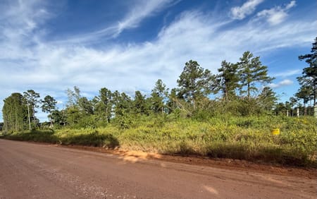 Livingston, TX 77351 Polk County