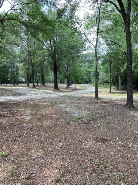 Crockett, TX 75835 Houston County