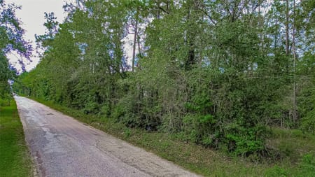 Cleveland, TX 77328 San Jacinto County